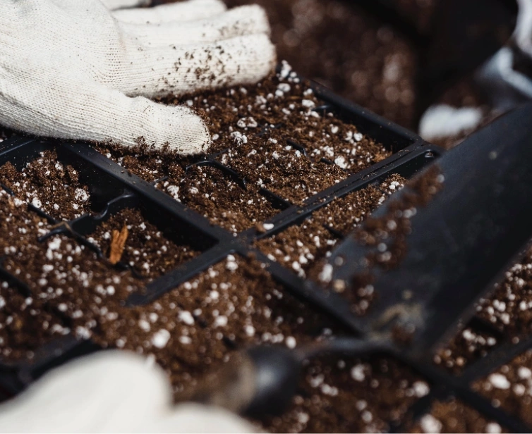 Organische meststoffen kopen